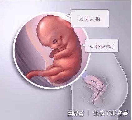 包生男孩试管机构